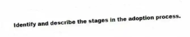 Identify and describe the stages in the adoption process.