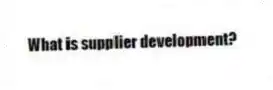 What is supplier development?