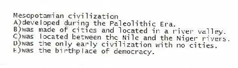 Mesopotamian civilization
A)developed during the Paleolithic Era.
B)was made of cities and located in a river valley.
C)was located between the Nile and the Niger rivers.
D)was the only early civilization with no cities.
E)was the birthplace of democracy.