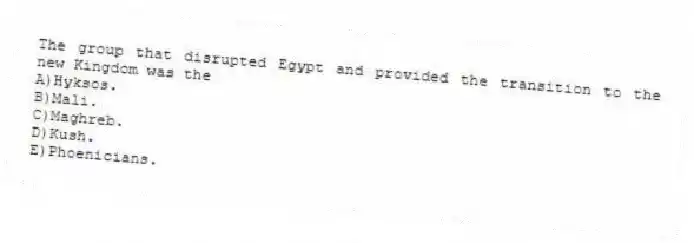 The group that disrupted Egypt and provided the transition to the new Kingdom was the
A)Hyksos.
B)Mali.
C)Maghreb.
D)Kush.
E)Phoenicians.