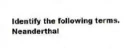 Identify the following terms.
-Neanderthal