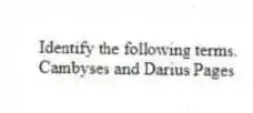 Identify the following terms.
-Cambyses and Darius Pages