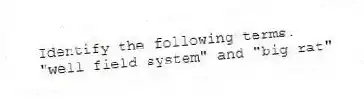 Identify the following terms.
-"well field system" and "big rat"
