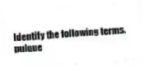 Identify the following terms.
-pulque