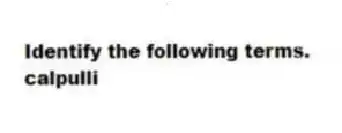 Identify the following terms.
-calpulli