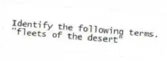 Identify the following terms.
-"fleets of the desert"