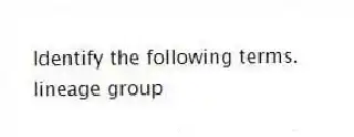 Identify the following terms.
-lineage group