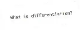 What is differentiation?