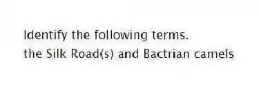 Identify the following terms.
-the Silk Road(s) and Bactrian camels