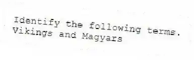 Identify the following terms.
-Vikings and Magyars
