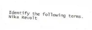 Identify the following terms.
-Nika Revolt