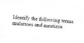 Identify the following terms.
-mulattoes and mestizos