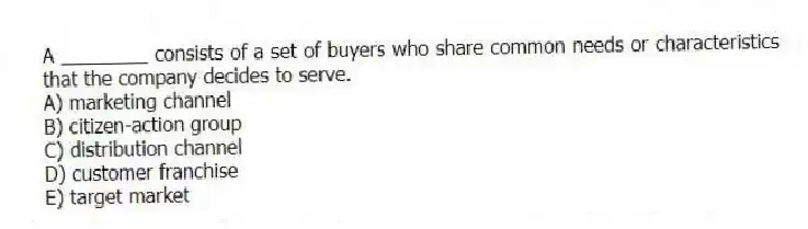 A ________ consists of a set of buyers who share common needs or characteristics that the company decides to serve.
A) marketing channel
B) citizen-action group
C) distribution channel
D) customer franchise
E) target market