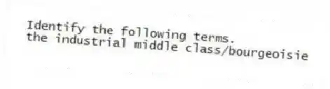 Identify the following terms.
-the industrial middle class/bourgeoisie