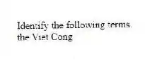 Identify the following terms.
-the Viet Cong