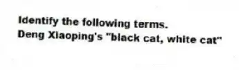 Identify the following terms.
-Deng Xiaoping's "black cat, white cat"