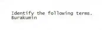 Identify the following terms.
-Burakumin