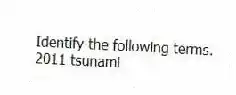 Identify the following terms.
-2011 tsunami