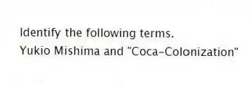Identify the following terms.
-Yukio Mishima and "Coca-Colonization"