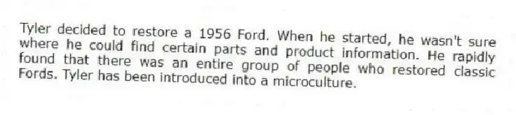 Tyler decided to restore a 1956 Ford. When he started, he wasn't sure where he could find certain parts and product information. He rapidly found that there was an entire group of people who restored classic Fords. Tyler has been introduced into a microculture.