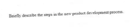 Briefly describe the steps in the new product development process.