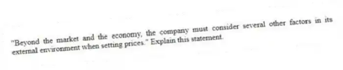 "Beyond the market and the economy, the company must consider several other factors in its external environment when setting prices." Explain this statement.