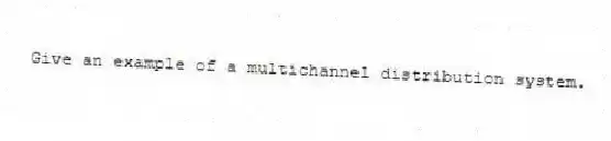 Give an example of a multichannel distribution system.
