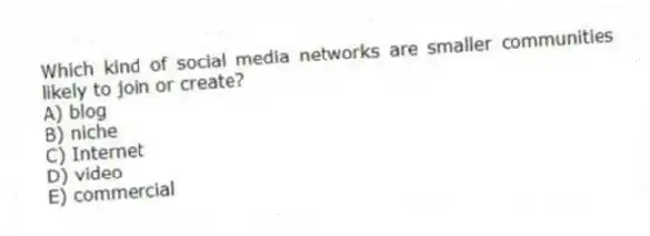 Which kind of social media networks are smaller communities likely to join or create?
A) blog
B) niche
C) Internet
D) video
E) commercial
