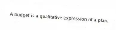 A budget is a qualitative expression of a plan.
