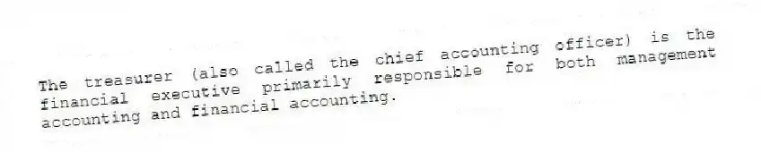 The treasurer (also called the chief accounting officer) is the financial executive primarily responsible for both management accounting and financial accounting.