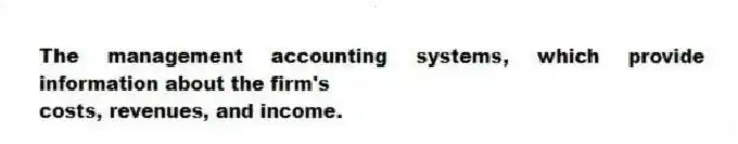 The management accounting systems, which provide information about the firm's
costs, revenues, and income.