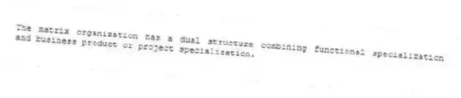 The matrix organization has a dual structure combining functional specialization and business product or project specialization.
