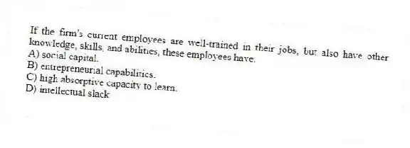 If the firm's current employees are well-trained in their jobs, but also have other knowledge, skills, and abilities, these employees have:
A) social capital.
B) entrepreneurial capabilities.
C) high absorptive capacity to learn.
D) intellectual slack.
