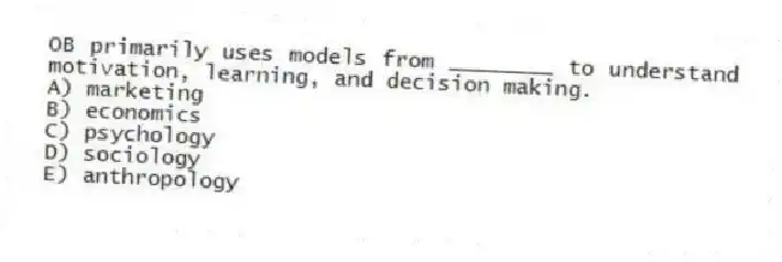 OB primarily uses models from ________ to understand motivation, learning, and decision making.
A) marketing
B) economics
C) psychology
D) sociology
E) anthropology