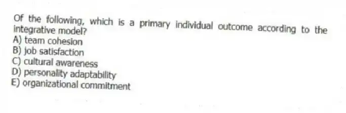 Of the following, which is a primary individual outcome according to the integrative model?
A) team cohesion
B) job satisfaction
C) cultural awareness
D) personality adaptability
E) organizational commitment