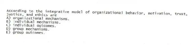 According to the integrative model of organizational behavior, motivation, trust, justice, and ethics are
A) organizational mechanisms.
B) individual mechanisms.
C) individual outcomes.
D) group mechanisms.
E) group outcomes.