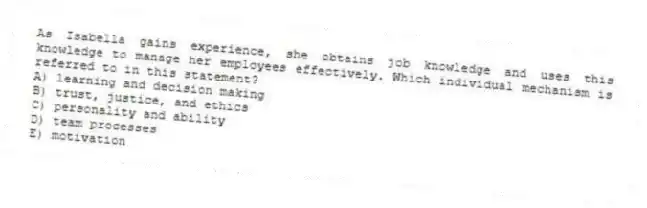 As Isabella gains experience, she obtains job knowledge and uses this knowledge to manage her employees effectively. Which individual mechanism is referred to in this statement?
A) learning and decision making
B) trust, justice, and ethics
C) personality and ability
D) team processes
E) motivation