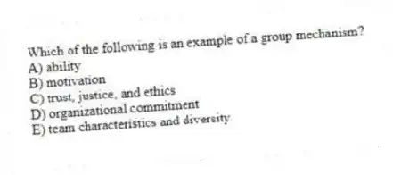 Which of the following is an example of a group mechanism?
A) ability
B) motivation
C) trust, justice, and ethics
D) organizational commitment
E) team characteristics and diversity