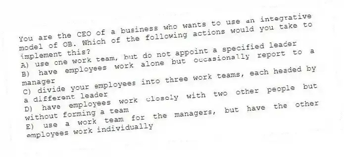 You are the CEO of a business who wants to use an integrative model of OB. Which of the following actions would you take to implement this?
A) use one work team, but do not appoint a specified leader
B) have employees work alone but occasionally report to a manager
C) divide your employees into three work teams, each headed by a different leader
D) have employees work closely with two other people but without forming a team
E) use a work team for the managers, but have the other employees work individually