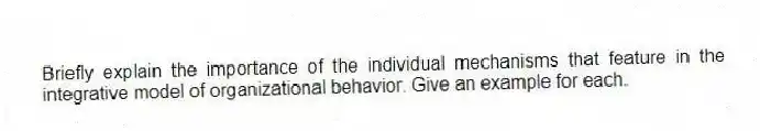 Briefly explain the importance of the individual mechanisms that feature in the integrative model of organizational behavior. Give an example for each.