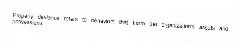 Property deviance refers to behaviors that harm the organization's assets and possessions.