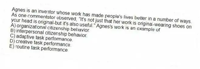 Agnes is an inventor whose work has made people's lives better in a number of ways. As one commentator observed, "It's not just that her work is original-wearing shoes on your head is original-but it's also useful." Agnes's work is an example of
A) organizational citizenship behavior.
B) interpersonal citizenship behavior.
C) adaptive task performance.
D) creative task performance.
E) routine task performance.
