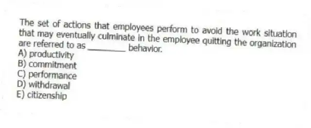 The set of actions that employees perform to avoid the work situation that may eventually culminate in the employee quitting the organization are referred to as ________ behavior.
A) productivity
B) commitment
C) performance
D) withdrawal
E) citizenship