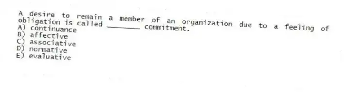 A desire to remain a member of an organization due to a feeling of obligation is called ________ commitment.
A) continuance
B) affective
C) associative
D) normative
E) evaluative