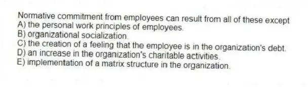 Normative commitment from employees can result from all of these except
A) the personal work principles of employees.
B) organizational socialization.
C) the creation of a feeling that the employee is in the organization's debt.
D) an increase in the organization's charitable activities.
E) implementation of a matrix structure in the organization.