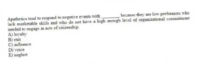 Apathetics tend to respond to negative events with ________ because they are low performers who lack marketable skills and who do not have a high enough level of organizational commitment needed to engage in acts of citizenship.
A) loyalty
B) exit
C) influence
D) voice
E) neglect