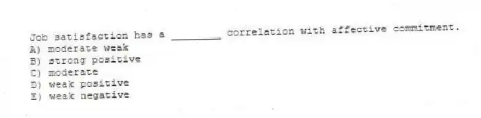 Job satisfaction has a ________ correlation with affective commitment.
A) moderate weak
B) strong positive
C) moderate
D) weak positive
E) weak negative