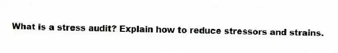 What is a stress audit? Explain how to reduce stressors and strains.