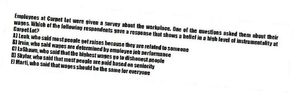 Employees at Carpet Lot were given a survey about the workplace. One of the questions asked them about their wages. Which of the following respondents gave a response that shows a belief in a high level of instrumentality at Carpet Lot?
A) Leah, who said most people get raises because they are related to someone
B) Irvin, who said wages are determined by employee job performance
C) LaShawn, who said that the highest wages go to dishonest people
D) Skylar, who said that most people are paid based on seniority
E) Marti, who said that wages should be the same for everyone