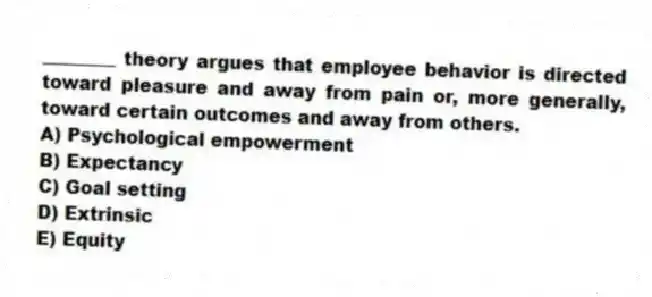 ________ theory argues that employee behavior is directed toward pleasure and away from pain or, more generally, toward certain outcomes and away from others.
A) Psychological empowerment
B) Expectancy
C) Goal setting
D) Extrinsic
E) Equity